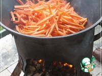 ���� "��������" � ���������� �����������