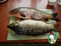 ������������� ���� �����������