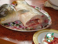 ������������� ���� �����������