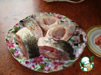 ������������� ���� �����������