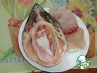 ������������� ���� �����������