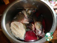 ������������� ���� �����������