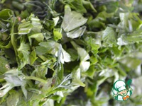 ���� "���������" � ������� �����������