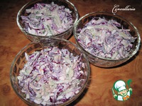 ����� � ����� � �������������� �������� �����������