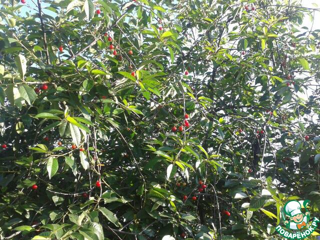 ����������