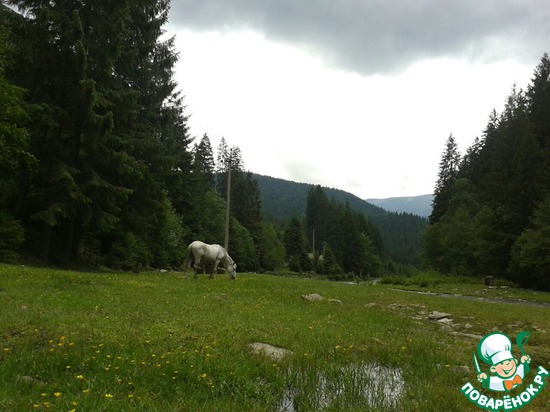 ����������