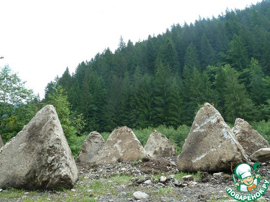 ����������