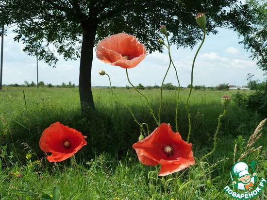 ����������