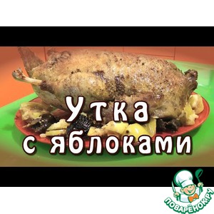 ���� � �������� � �����������