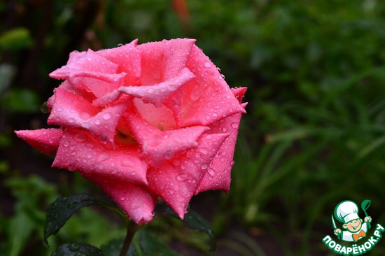 ��� ��������� �����! "����"