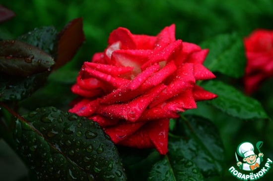 ��� ��������� �����! "����"