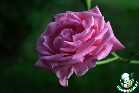 ��� ��������� �����! "����"