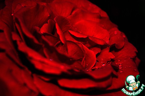 ��� ��������� �����! "����"