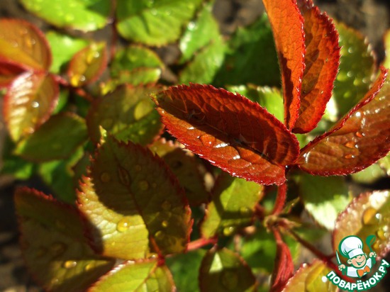 ��� ��������� �����! "����"