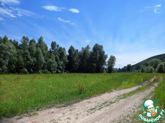 ��� ��������� �����! "�������"