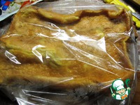 �����-�������� � �������� ������������ �����������