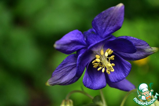 ��� ��������� �����! "��������"