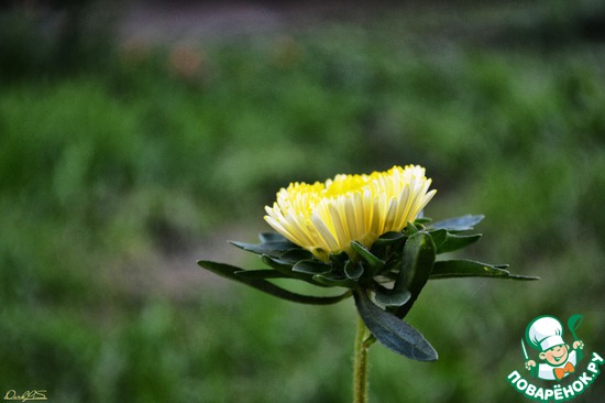 ��� ��������� �����! "��������"