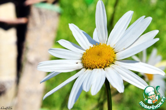 ��� ��������� �����! "��������"