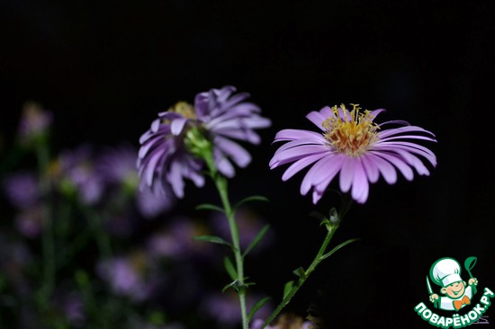 ��� ��������� �����! "��������"