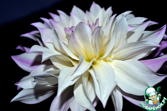 ��� ��������� �����! "��������"