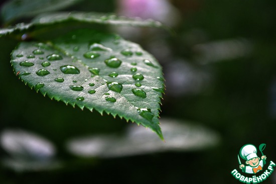 ��� ��������� �����! "������, �������, ��������"