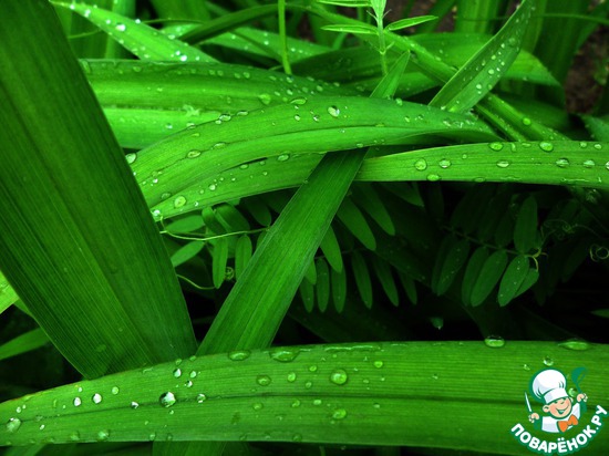 ��� ��������� �����! "������, �������, ��������"