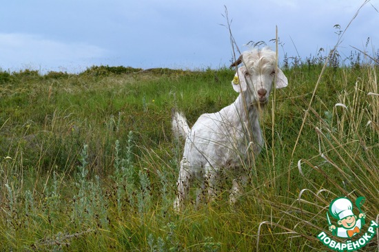 ��� ��������� �����! "�� � ����� ������"