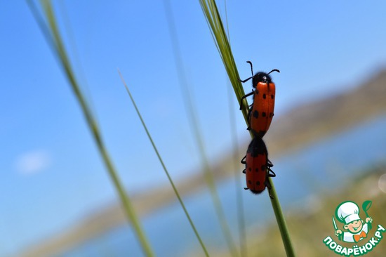 ��� ��������� �����! "�� � ����� ������"