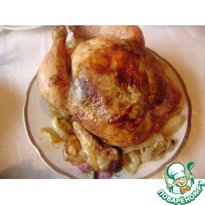 ������ "��������"