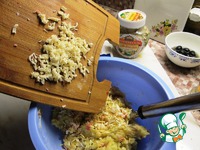 ������� ������������ "��������" �����������