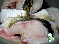 ���� � ��������-��������� ����� �����������