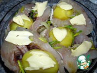 ���� � ��������-��������� ����� �����������