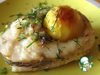 ���� � ��������-��������� ����� �����������