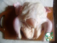 ������ "��������" �����������