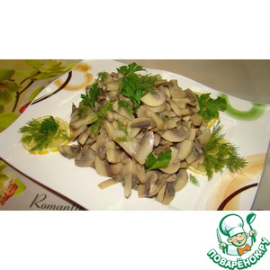 ����� � ������ �����