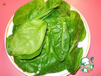 ��������� ���� � ��������� ��������� �����������