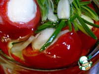 ����-����� � �������-������ �������� � ����� �����������