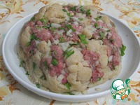 ������������� ������� ������� �����������