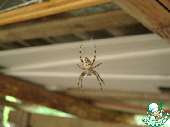 Разное интересное...