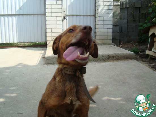 ������ ����������...