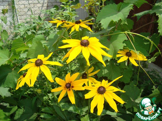 ������ ����������...