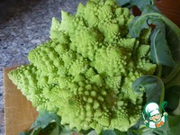 �������� � �������� ��������� �����������