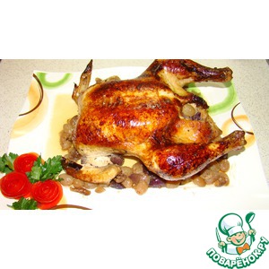 ������ � ����������