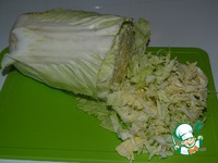 ����� "��������" � ��������� ��������� �����������