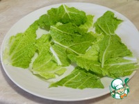 ����� "�-��-��" �����������