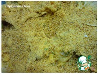 ������� "�����" � �������� �������� �����������