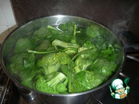 ����� � �������� � ���������� �����������