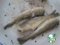 ������ ��� ���������� ������ �����������