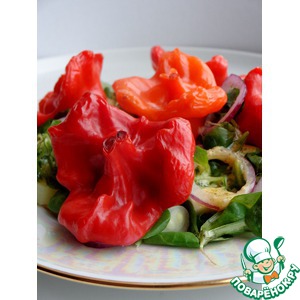 ������ ����� � �������������� ����-�������